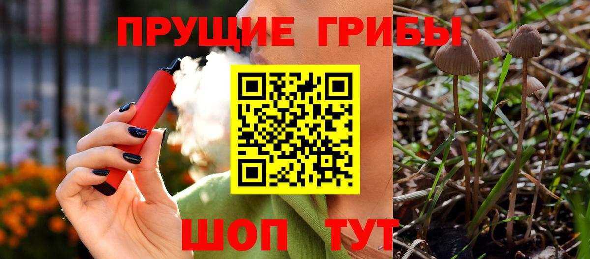 Хабаровск  Псилоцибиновые грибы мухоморы  Псилоцибиновые грибы прущие грибы  Вход с VPN 